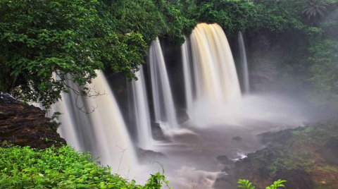 Cross River National Park